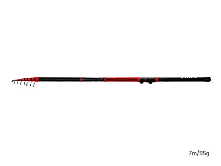 Delphin TELEPIKES | 6m/85g