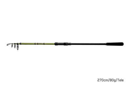 Delphin PARTISAN | 270cm/80g/Tele