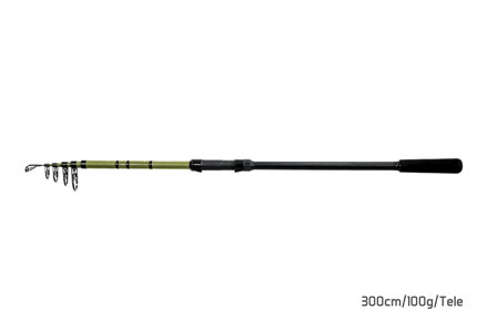 Delphin PARTISAN | 270cm/80g/Tele