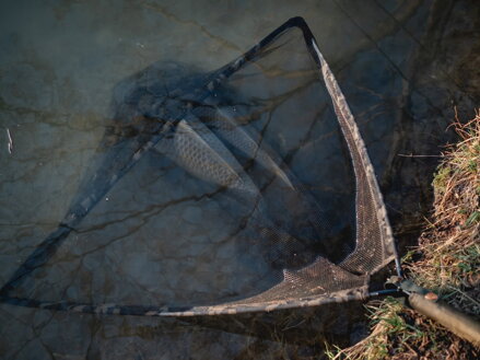 Podberák Giants Fishing Carp Net Luxury 42 Podberák Giants Fishing Carp Net Luxury 42
