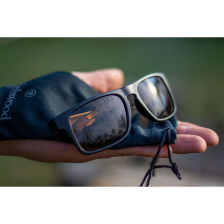 Slnečné okuliare Wychwood Profile Brown lens
